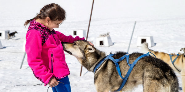 Alaska dog sled tour