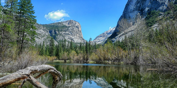 Yosemite's mirror lake, reflecting the surrounding trees and rocky peaks