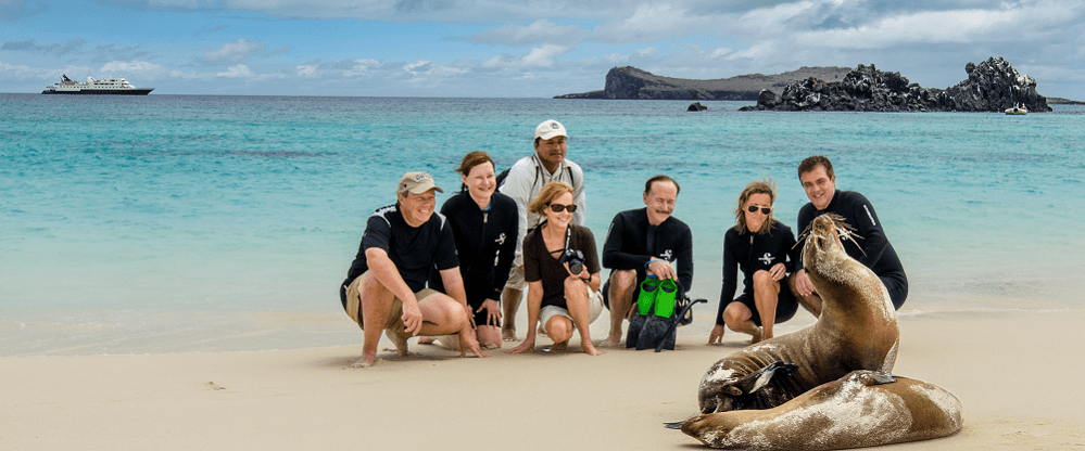 Sea Lion Group Beach Galapagos Celebrity Cruise