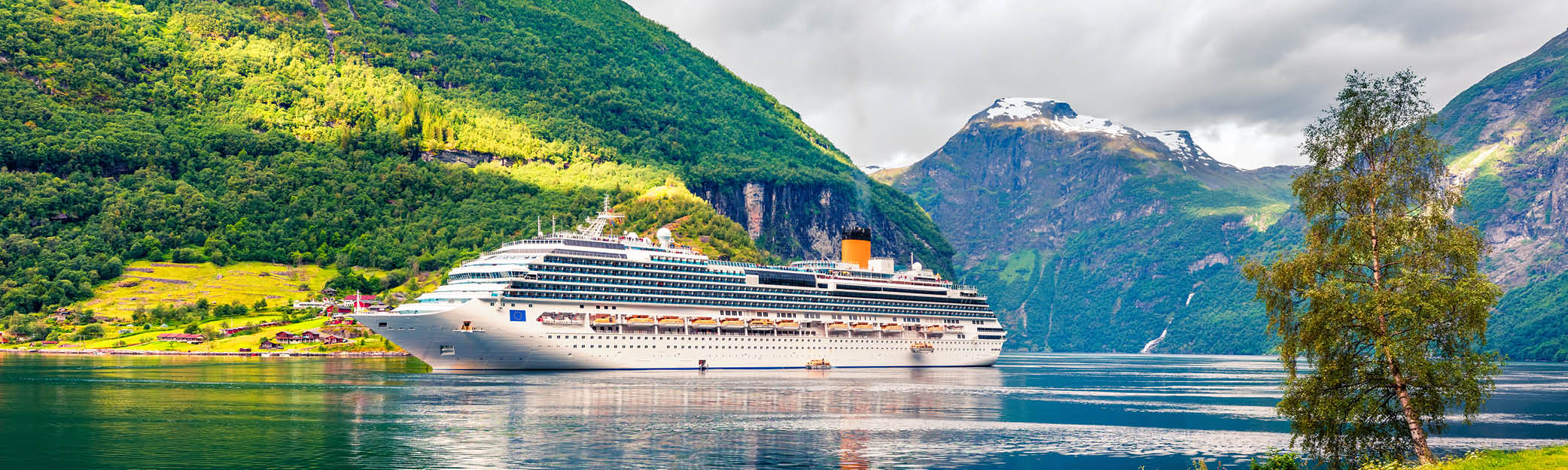 How To Become A Cruise Specialist 