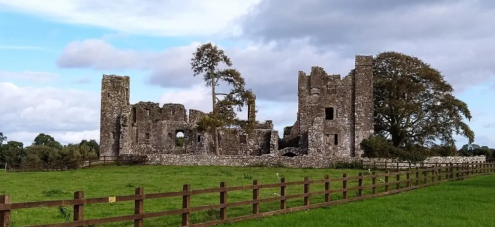 Abbey Ruins Dublin County Meade Ireland