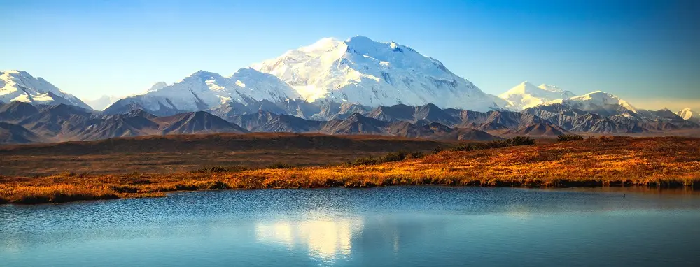 Denali Sunshine