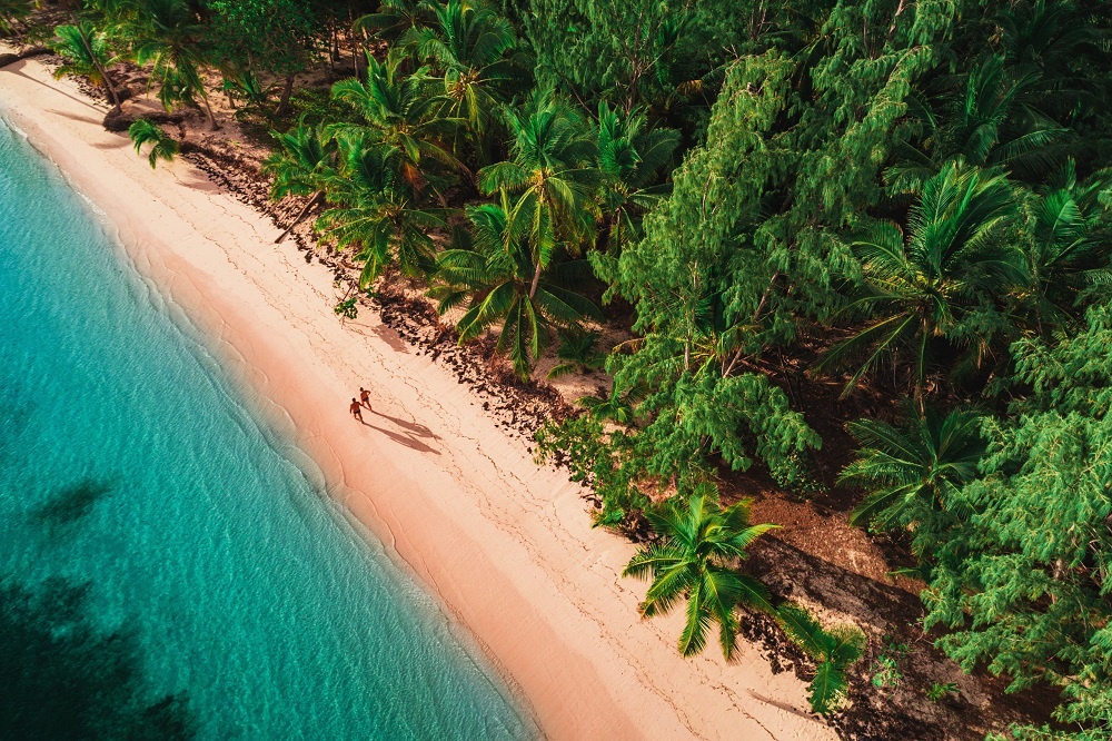 Aerial View Of Tropical Beach, Dominican Republic