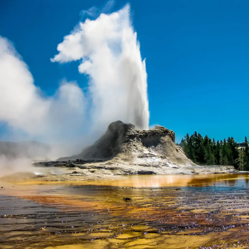 Yellowstone