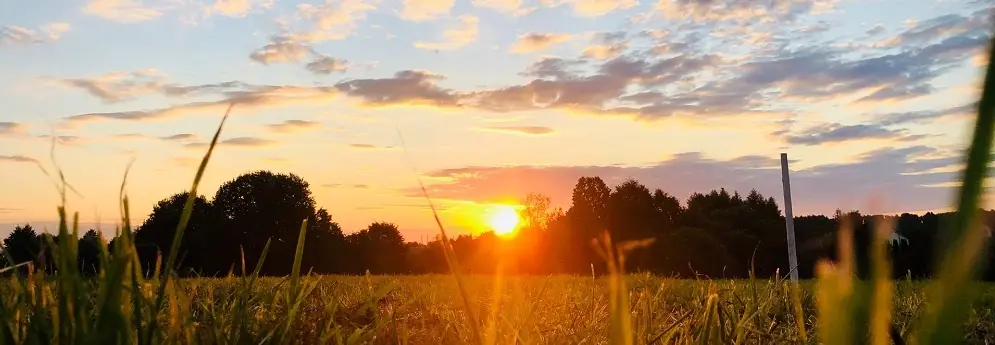 Sunset over a grassy field and mountain horizon