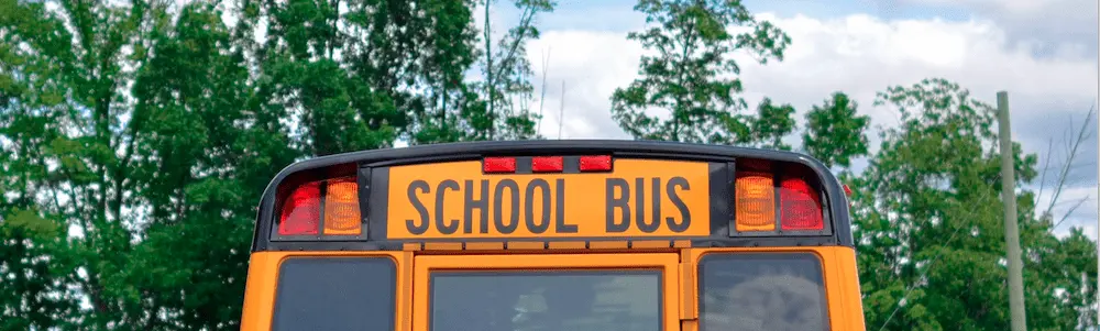 School Bus Trees Sky