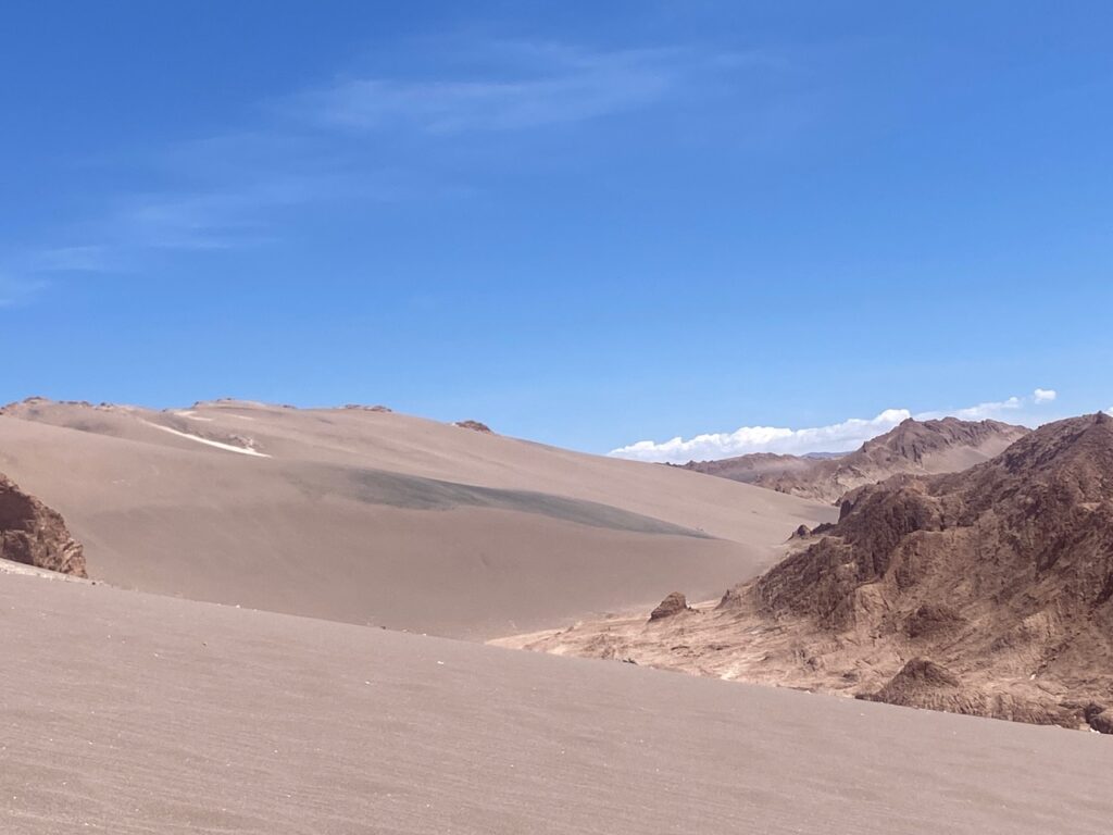 Desert Chile